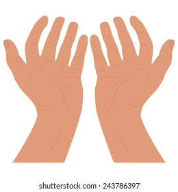 両手 手のひら 女性 のイラスト素材 画像 ベクター画像 Shutterstock