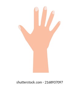open hand. vector illustration. on white background
