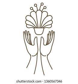 open hands with flower isolated icon