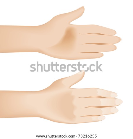 Open hands isolated on white. Illustration on white background