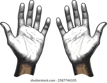 Open Hands Vector Illustration - Engraved Style, Isolated on White