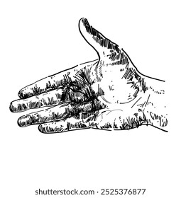 open handshake gesture agreement sign black and white linear drawing hand realistic vector illustration agreement,trust in business and personal relations isolated on white background