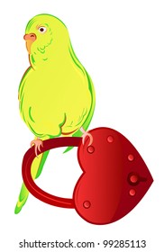 To open the heart, no need for empty words.Budgie. padlock in a heart-shaped,illustration