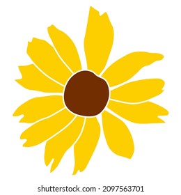 Open heliopsis blossom vector color illustration isolated on white background. Vector sketch style top view hand drawing of wild, heliopsis, false sunflower.