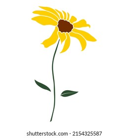 Open heliopsis blossom vector color illustration isolated on white background. Vector sketch style top view hand drawing of wild, heliopsis, false sunflower.