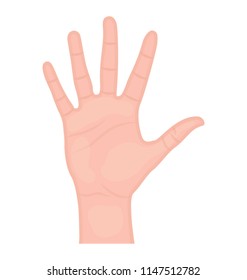 
An open human hand pointing showing palm
