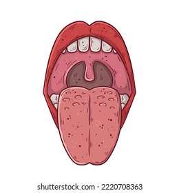An open human mouth with a protruding tongue hand drawn cartoon simple vector illustration. Medicine and anatomy.