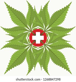 Open locker of Marijuana or cannabis leaf, medical. Isolated on green background. vector illustration.