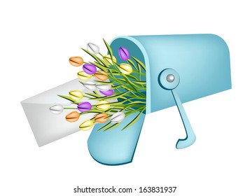 An Open Mailbox or Letter Box Receiving A Letter and Lovely Tulip Boquet with Red Ribbon, A Perfect Romantic Gift or Present for Someone Special. 