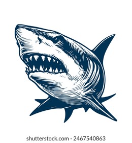 Open mouth of an angry shark with teeth. vector illustration on white background