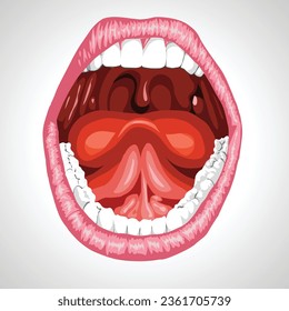 open mouth isolated vector illustration on white background