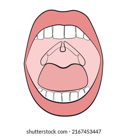 Open mouth line art on white isolated background