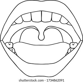 Open Mouth Line Drawing Vector Illustration Stock Vector (Royalty Free ...