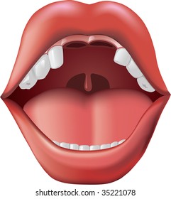 Open mouth and missing teeth   Adobe Illustrator gradient mesh tool was used  CMYK color 