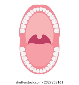 Abre la boca con dientes. Anatomía de la cavidad oral. Ilustración plana del vector