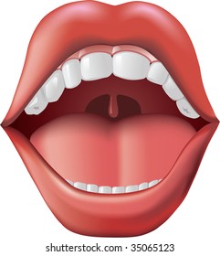 Open Mouth and tongue   teeth  Adobe Illustrator gradient mesh tool was used  CMYK color 