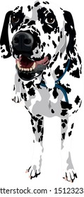 Open Mouthed, Grinning Dalmatian Dog Standing Showing Teeth Vector