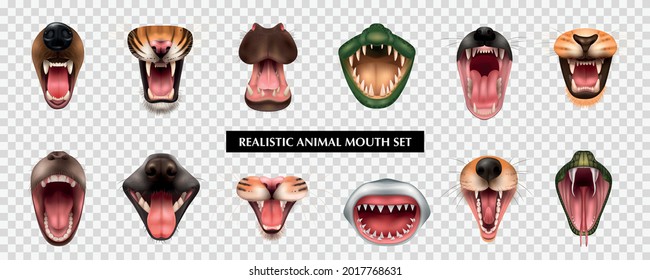 Open Mouths With Teeth And Fangs Of Various Carnivore Animals Fish Reptile Realistic Set Isolated On Transparent Background Vector Illustration