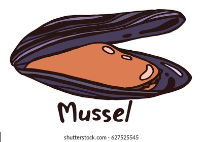 Open mussel shell with meat. Hand drawn isolated illustration with the inscription on a white background