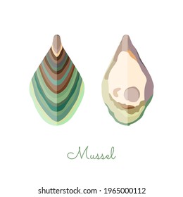 Open Mussel shells made in flat style. Colored Mussel with geometrical shadows. Fresh mollusk, seafood product, source of healthy protein