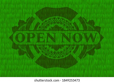 Abrir ahora texto dentro de la placa realista de hierba verde. Un entorno muy atractivo. Ilustración vectorial. 