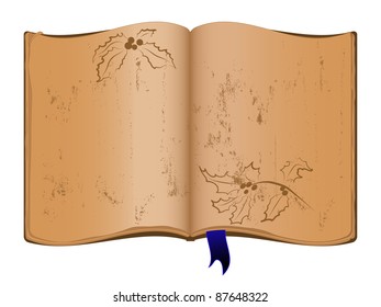 Open old book and holly