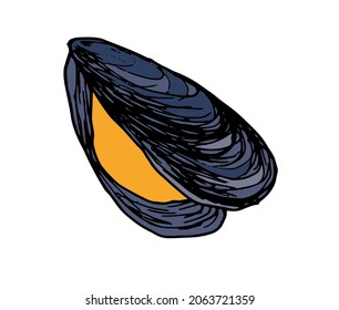 eine offene orangefarbene Muschel mit graublauer Muschel. eine handgezeichnete Muschel im Stil einer Skizze ist aus Meeresfrüchten auf weißem Hintergrund für eine Design-Vorlage, Verpackung, ein Menü