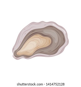 Open oyster shell. Vector illustration on white background.