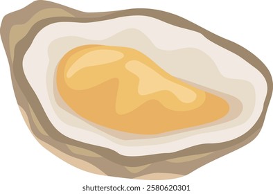 Open oyster vector illustration highlighting the contrast between the soft, fleshy inner body and the rough texture of the outer shell, ideal for seafood restaurant menus or culinary illustrations