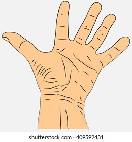 Open palm with fingers spread apart.  Realistic men's hand colored version