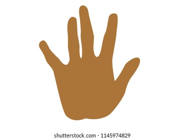 Open palm of the hand.