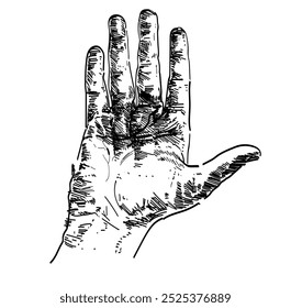 open palm hand counting symbol number hi five gesture sign language linear relistic vector illustration person isolated on white background