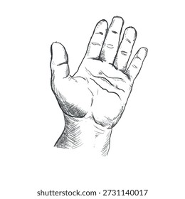 Open palm hand gesture pencil sketch showing a single human hand facing forward. Hand drawn black and white illustration symbolizing invitation, help, blessing, guidance, spirituality, faith. Vector