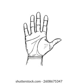 Open palm of hand sketch drawing illustration. Hand drawn vector line art clipart in engraving style