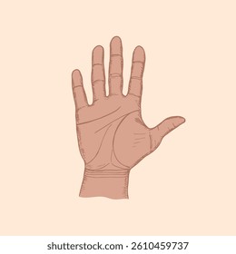 Open palm of hand sketch drawing illustration. Hand drawn vector line art clipart in engraving style