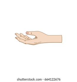Open palm isolated on a white background. Color vector illustration of hand. Template for your design