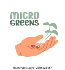 Open palm of white human hand holds two sprouts of microgreens. Sustainable living, importance of including microgreens in diet. Vetorial flat illustration.