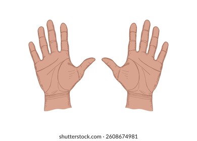Open palms of hands sketch drawing illustration. Hand drawn vector line art clipart in engraving style
