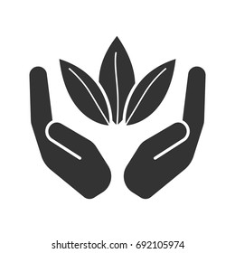 Open palms with tea leaves glyph icon. Silhouette symbol. Tea harvesting and processing. Negative space. Vector isolated illustration