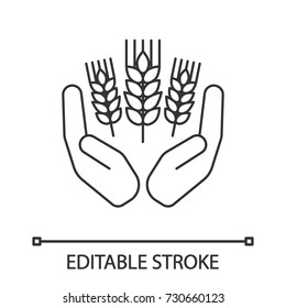 Open palms with wheat ears linear icon. Farming. Agriculture. Thin line illustration. Growing wheat. Contour symbol. Vector isolated outline drawing. Editable stroke