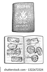 Open passport illustration, drawing, engraving, ink, line art, vector