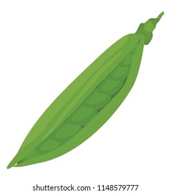
An open pea from which round beans can be seen 
