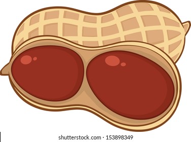 Open Peanut Cartoon Illustration