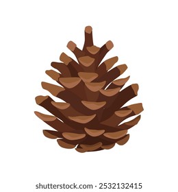 Cone aberto da barbatana de pinheiro isolado sobre fundo branco. Ilustração do vetor Pinecone