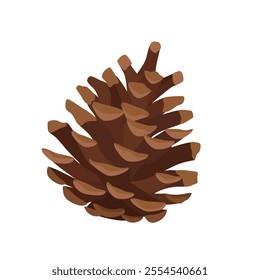 Open pine fin cone isolated on white background. Pinecone vector illustration