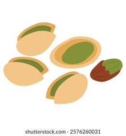 Open Pistachio Nut in Hard Shell Isolated Pistache illustration