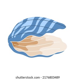 Open sea shell. Marine underwater twisted shell. Undersea mollusc. Food and delicacy. Flat vector illustration isolated on white background