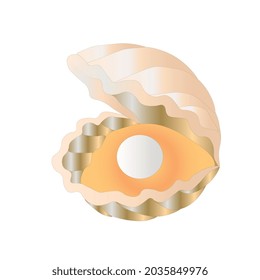 An open seashell with pearls. Vector illustration in a children's drawing on a white background.