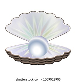 Open shell with beautiful pearls. Vector illustration for design and decor.
