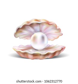 open shell with pearl illustration vector